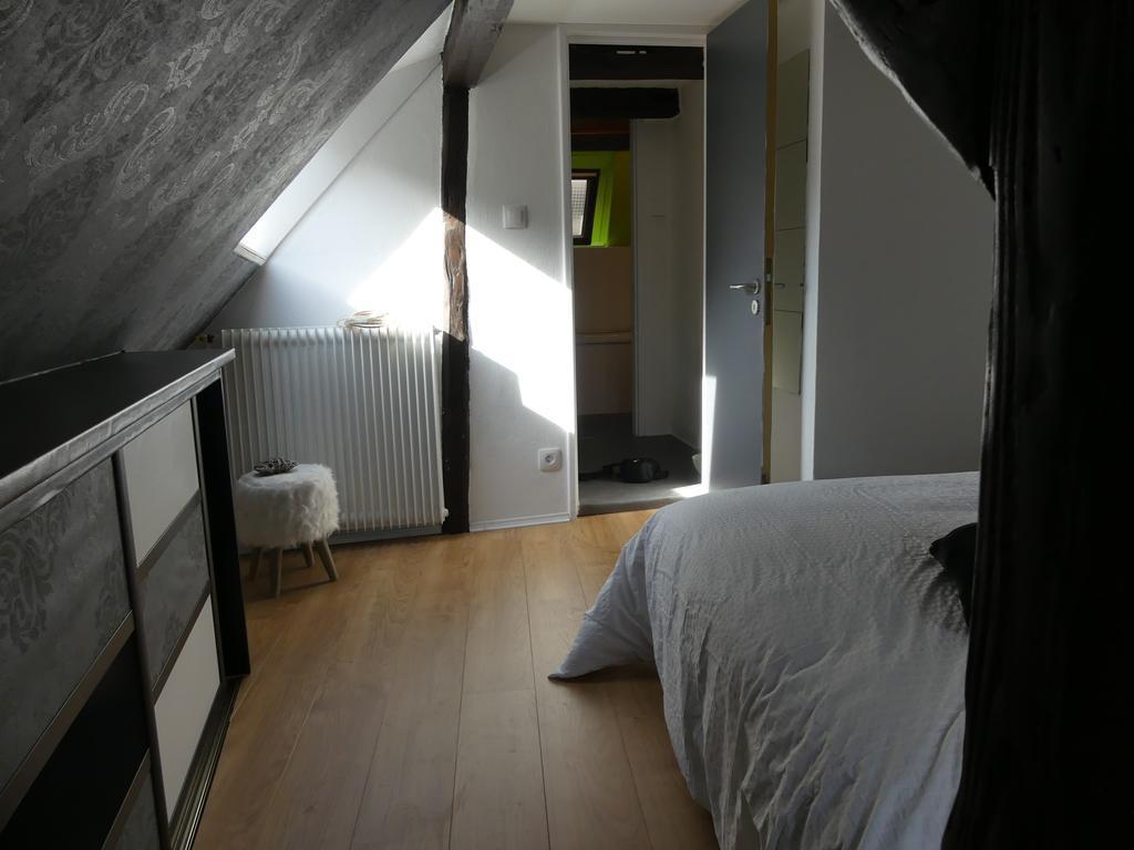 Appart Chaleureux Colmar Exterior photo
